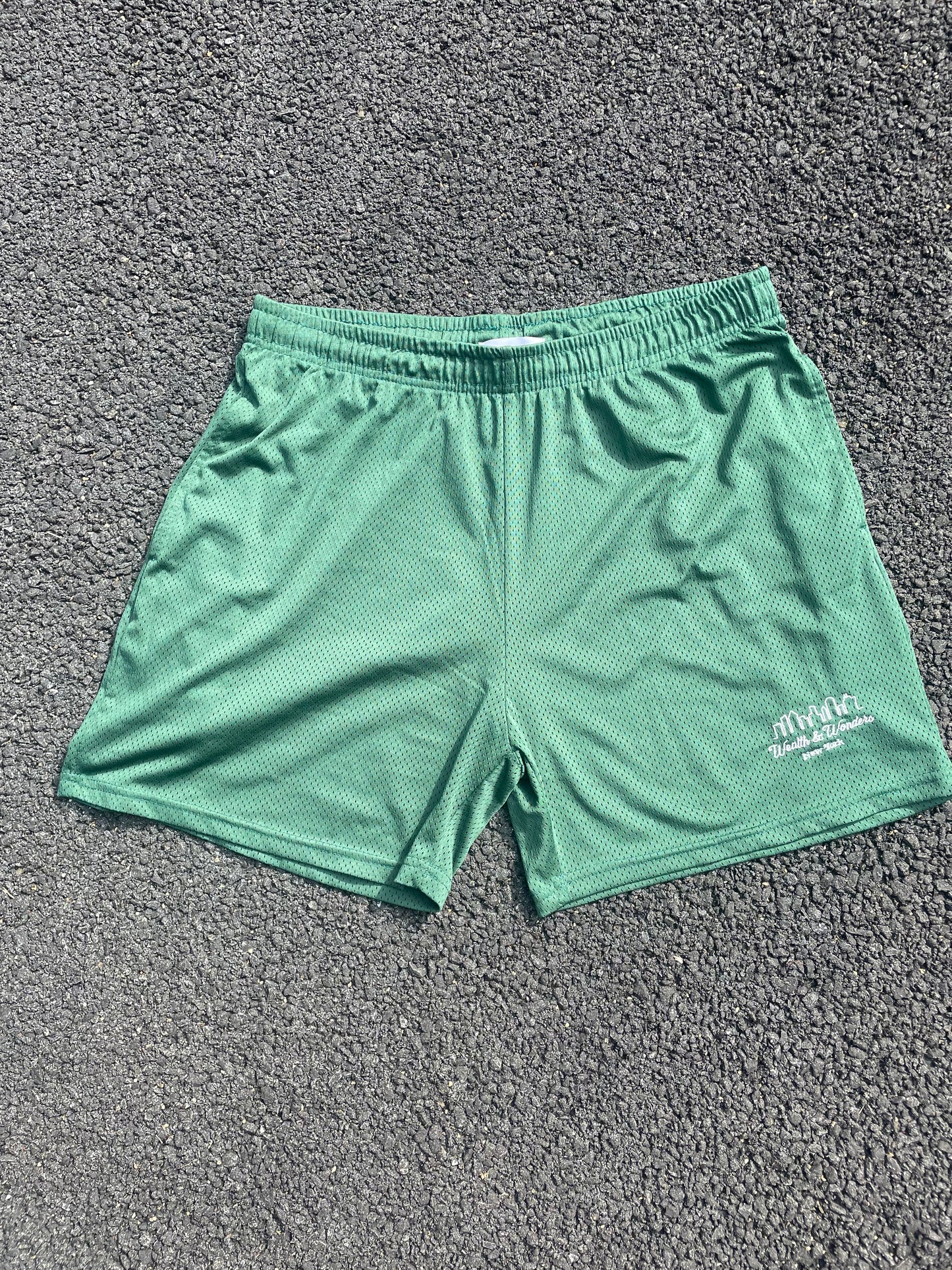 Mesh Wealth&Wonders Shorts